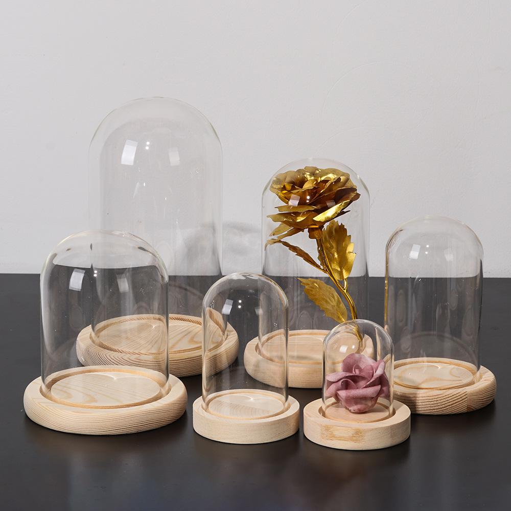 Fairy Lights Home Decor Terrar - огляд і ціна Vase Decor